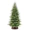 7.5ft. Pre-Lit Chatham Spruce Slim Artificial Christmas Tree, Clear Lights
